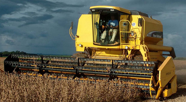 Climate endangers planting corn at low harvest