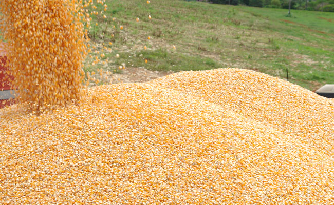 We work to produce the best food